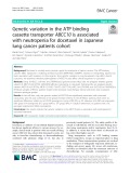 Genetic variation in the ATP binding cassette transporter ABCC10 is associated with neutropenia for docetaxel in Japanese lung cancer patients cohort