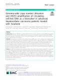 Genome-wide copy number alteration and VEGFA amplification of circulating cell-free DNA as a biomarker in advanced hepatocellular carcinoma patients treated with Sorafenib