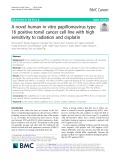 A novel human in vitro papillomavirus type 16 positive tonsil cancer cell line with high sensitivity to radiation and cisplatin