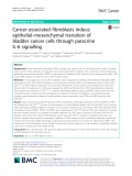 Cancer-associated fibroblasts induce epithelial–mesenchymal transition of bladder cancer cells through paracrine IL-6 signalling
