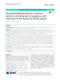 Clinicopathological features, treatment patterns, and prognosis of squamous cell carcinoma of the breast: An NCDB analysis