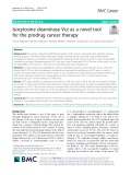 Isocytosine deaminase Vcz as a novel tool for the prodrug cancer therapy