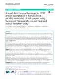 A novel detection methodology for HER2 protein quantitation in formalin-fixed, paraffin embedded clinical samples using fluorescent nanoparticles: An analytical and clinical validation study