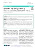 Multimodal multiphoton imaging for label-free monitoring of early gastric cancer