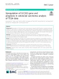 Upregulation of SLC2A3 gene and prognosis in colorectal carcinoma: Analysis of TCGA data