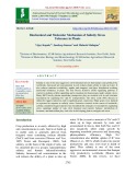 Biochemical and molecular mechanism of salinity stress tolerance in plants