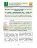 Report of novel entomopathogenic nematode (Heterorhab ditidoides sp.) in Telangana state, India