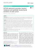 ACTL6A expression promotes invasion, metastasis and epithelial mesenchymal transition of colon cancer