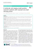 A molecular and staging model predicts survival in patients with resected non-small cell lung cancer