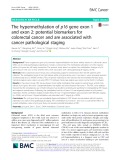 The hypermethylation of p16 gene exon 1 and exon 2: Potential biomarkers for colorectal cancer and are associated with cancer pathological staging