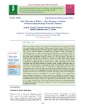 Heat tolerance in wheat - A key strategy to combat climate change through molecular markers