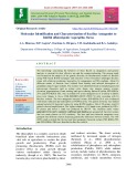 Molecular identification and characterization of bacillus antagonist to Inhibit aflatoxigenic Aspergillus flavus