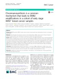 Chromoanasynthesis is a common mechanism that leads to ERBB2 amplifications in a cohort of early stage HER2+ breast cancer samples