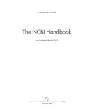The NCBI handbook: Part 1