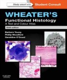 Wheater’s Functional Histology: A text and colour atlas - Part 1