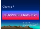 Bài giảng Độc chất học môi trường: Chương 7 - PGS. TS. Lê Quốc Tuấn