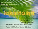 Bài giảng Ngữ văn 11: Đặc điểm loại hình của tiếng Việt - Nguyễn Thị Thu Trang