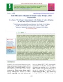 Role of biochar in mitigation of climate change through carbon sequestration