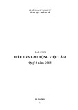 Báo cáo điều tra lao động việc làm quý 4 năm 2018