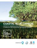 Coastal blue carbon methods for assessing carbon stocks and emissions factors in mangroves, tidal salt marshes, and seagrass meadows