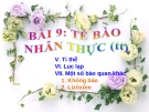 Bài giảng Sinh học 10 - Bài 9: Tế bào nhân thực (Tiết 2)