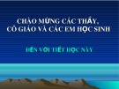 Bài giảng Sinh học 11 - Bài 31: Tập tính của động vật (Phan Kim Ngọc)