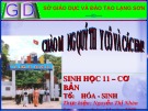 Bài giảng Sinh học 11 - Bài 12: Hô hấp ở thực vật (Nguyễn Thị Nhàn)