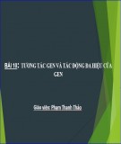 Bài giảng Sinh học 12 - Bài 10: Tương tác gen và tác động đa hiệu của gen (Phạm Thanh Thảo)