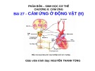 Bài giảng Sinh học 11 - Bài 27: Cảm ứng ở động vật (Tiếp theo) - Nguyễn Thanh Tùng