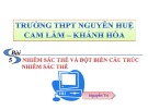 Bài giảng Sinh học 12 - Bài 5: Nhiễm sắc thể và đột biến cấu trúc nhiễm sắc thể (Nguyễn Tri)