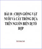 Bài giảng Sinh học 12 - Bài 18: Chọn giống vật nuôi và cây trồng dựa trên nguồn biến dị tổ hợp (Đinh Hoàng Oanh)