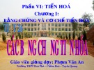 Bài giảng Sinh học 12 - Tiết 26: Các bằng chứng tiến hóa