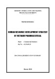 Doctoral dissertation summary: Human resource development strategy of Vietnam pharmaceutical