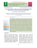 Comparative efficiency of biocontrol agents in the management of root borne diseases of Coleus (Coleus forskohlii (Willd.) Briq.)