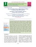 Physiological basis of water logging tolerance in wheat at vegetative stage under sodic soil