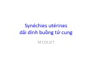 Bài giảng Synéchies utérines dải dính buồng tử cung