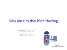 Bài giảng Siêu âm tim thai bình thường