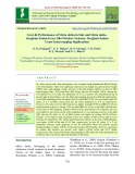 Growth Performance of Melia dubia in sole and Melia dubiaSorghum Sudan Grass Silvi-Pasture Systems: Sorghum Sudan Grass Intercropping Implications