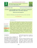 Bio efficacy of Heterorhabditis bacteriophora and Oscheius chongmingensis against Helopeltis theivora and Andraca bipunctata