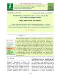 RNA interference of the Hemonchus contortus Astacin-like MTP Gene by the soaking method