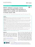 MASTL inhibition promotes mitotic catastrophe through PP2A activation to inhibit cancer growth and radioresistance in breast cancer cells