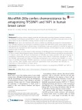MicroRNA-200a confers chemoresistance by antagonizing TP53INP1 and YAP1 in human breast cancer