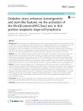 Oxidative stress enhances tumorigenicity and stem-like features via the activation of the Wnt/β-catenin/MYC/Sox2 axis in ALKpositive anaplastic large-cell lymphoma