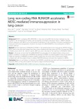 Long non-coding RNA RUNXOR accelerates MDSC-mediated immunosuppression in lung cancer