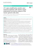 LYL1 gene amplification predicts poor survival of patients with uterine corpus endometrial carcinoma: Analysis of the Cancer genome atlas data