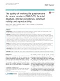 The quality of working life questionnaire for cancer survivors (QWLQ-CS): Factorial structure, internal consistency, construct validity and reproducibility