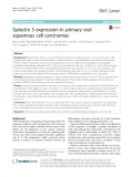 Galectin 3 expression in primary oral squamous cell carcinomas