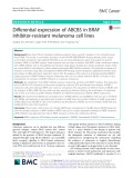 Ifferential expression of ABCB5 in BRAF inhibitor-resistant melanoma cell lines
