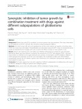 Synergistic inhibition of tumor growth by combination treatment with drugs against different subpopulations of glioblastoma cells