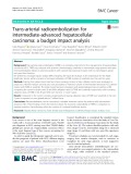 Trans-arterial radioembolization for intermediate-advanced hepatocellular carcinoma: A budget impact analysis